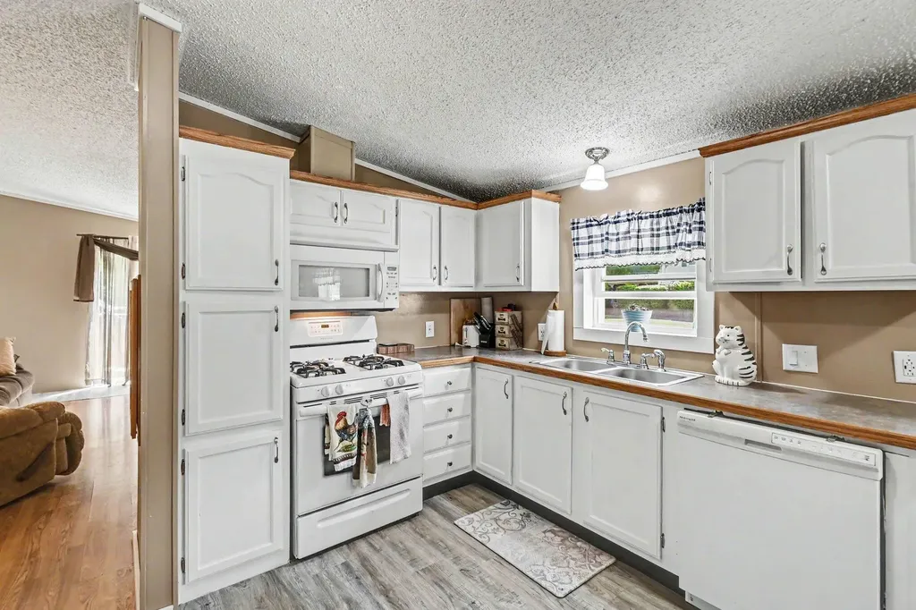 141 E Franklin Street Woodland Village MI 48897