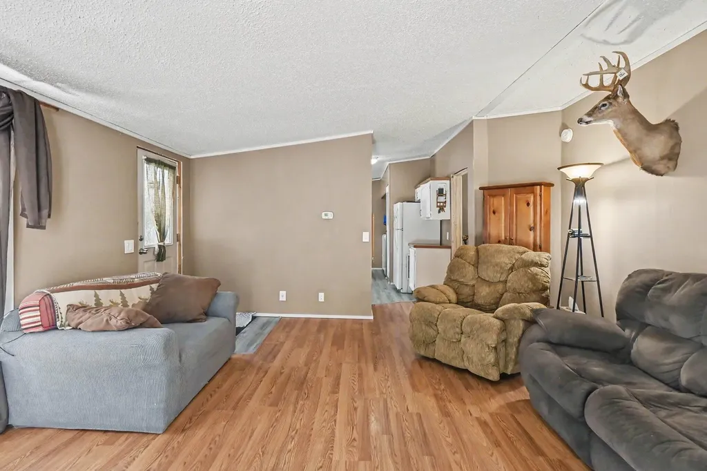 141 E Franklin Street Woodland Village MI 48897
