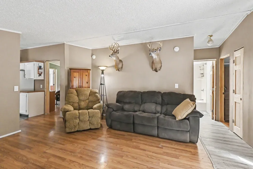 141 E Franklin Street Woodland Village MI 48897