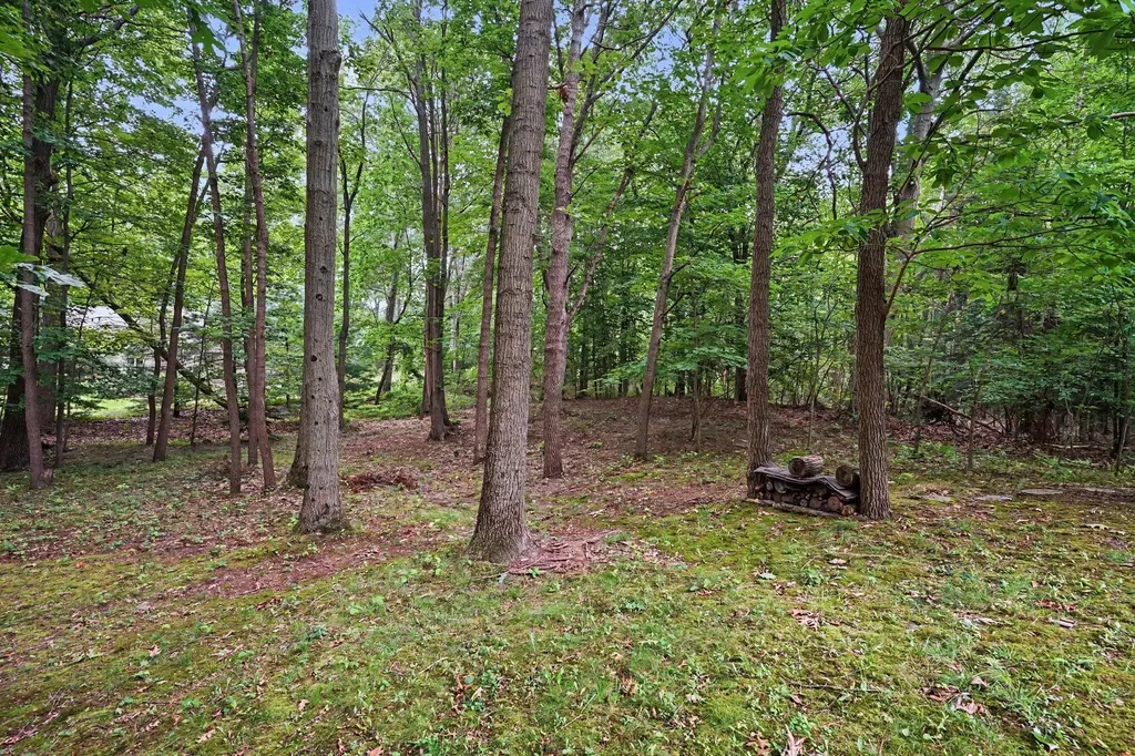 3334 Clearview Lane Saugatuck Township MI 49453