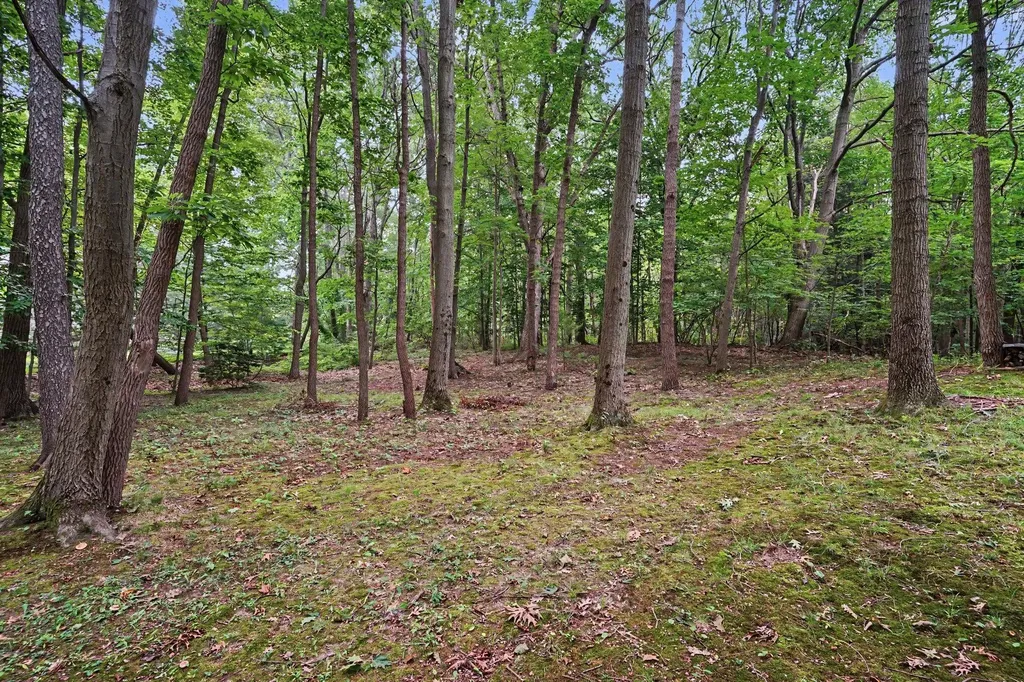 3334 Clearview Lane Saugatuck Township MI 49453