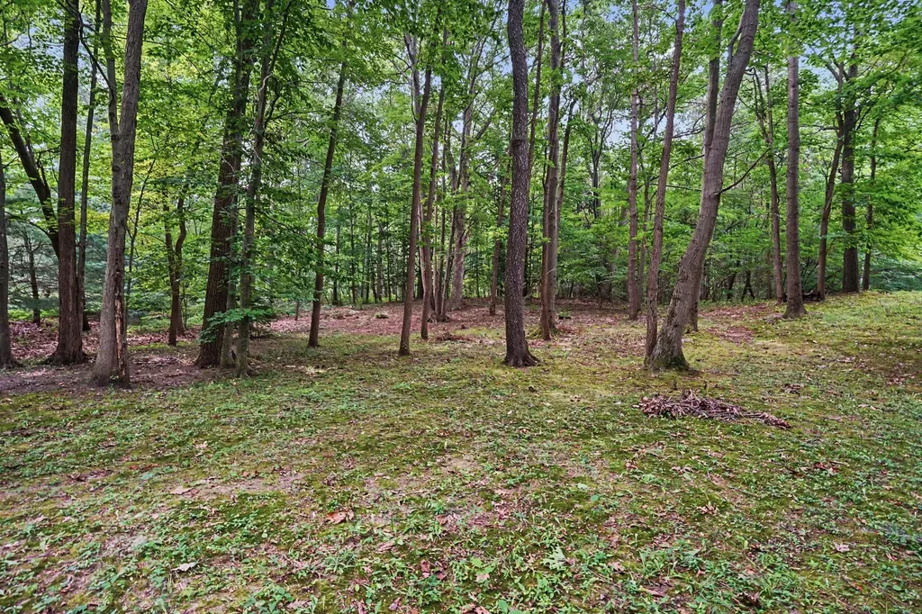 3334 Clearview Lane Saugatuck Township MI 49453