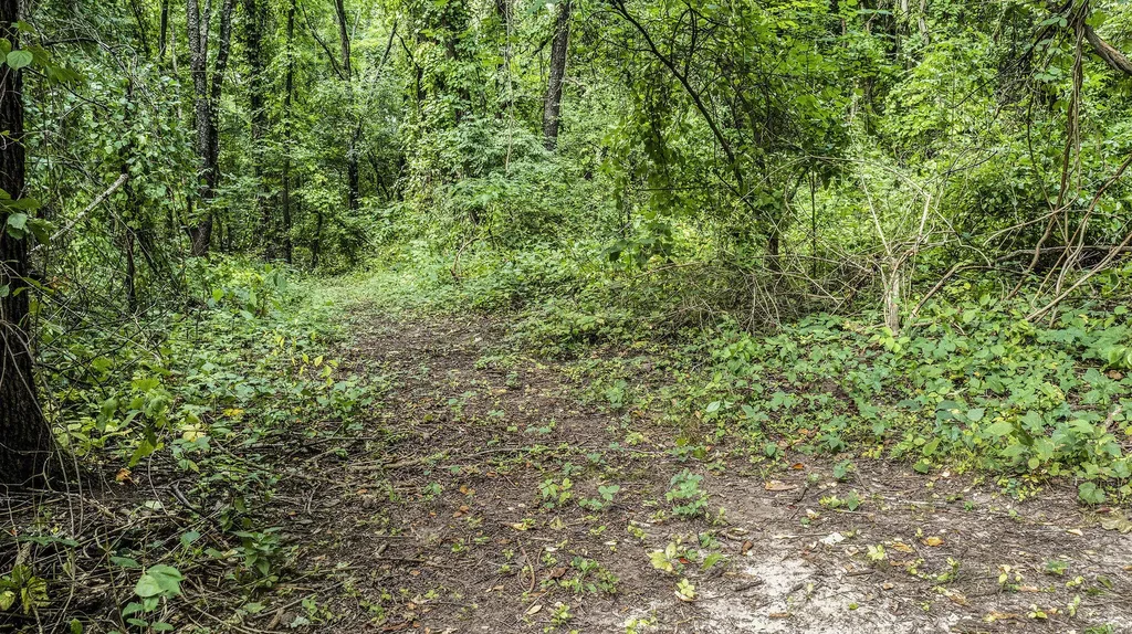 5856 Windingwood Drive Oshtemo Charter Township MI 49009