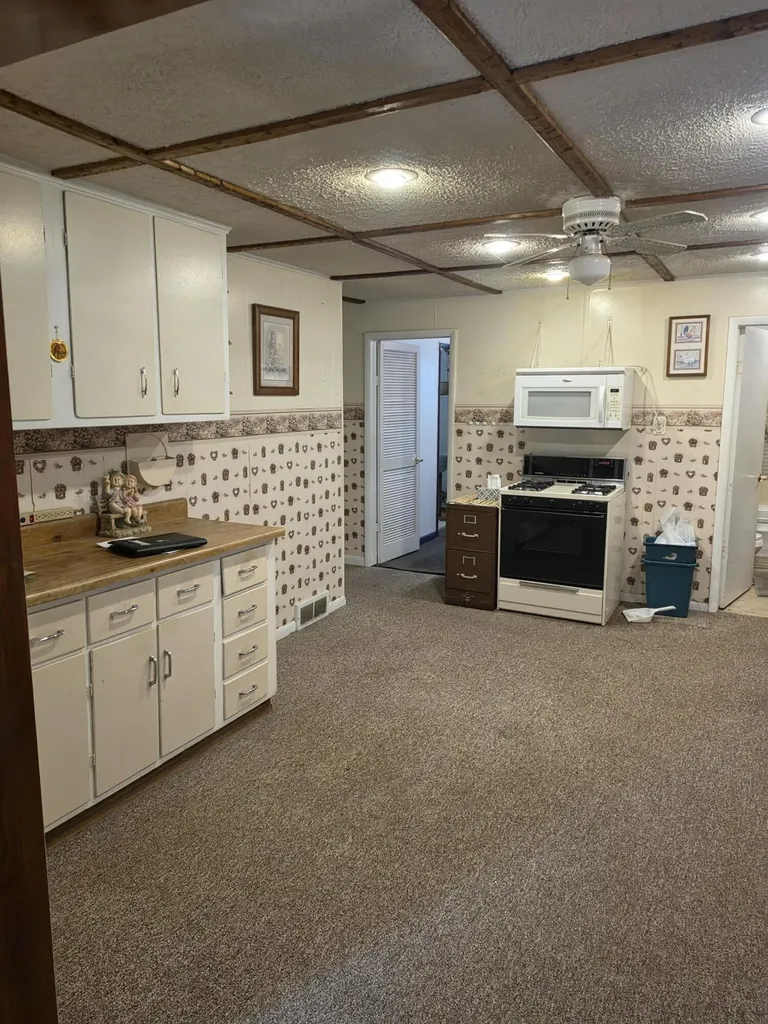 119 N Lovell Street Climax Township MI 49034