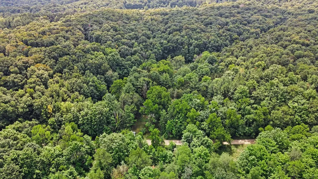 539 E Buchanan Road Ferry Township MI 49455