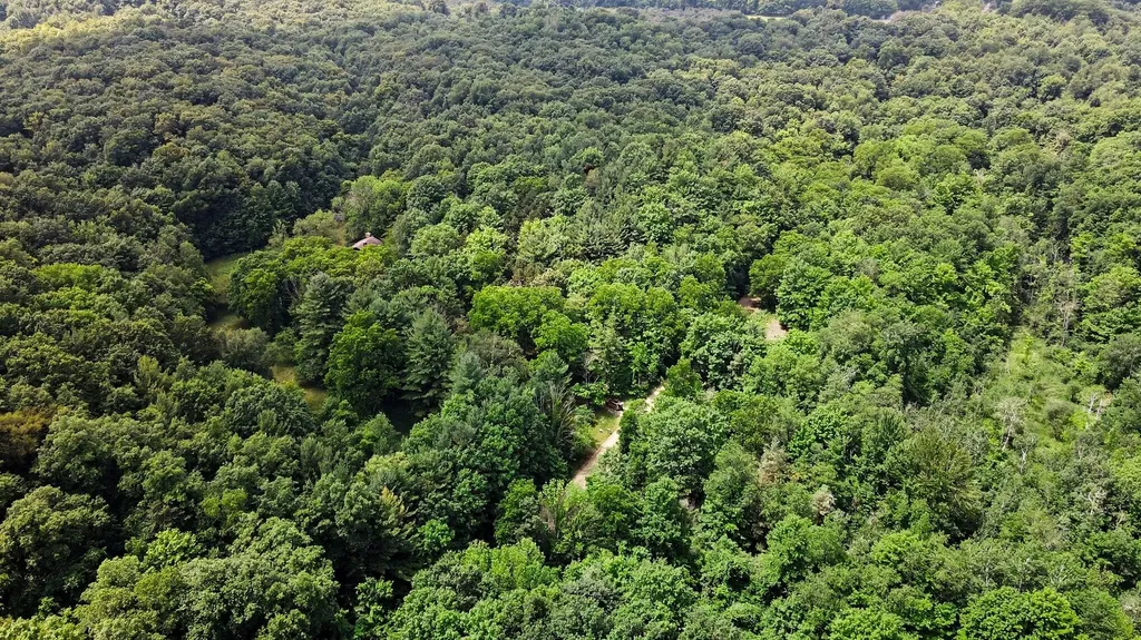 539 E Buchanan Road Ferry Township MI 49455