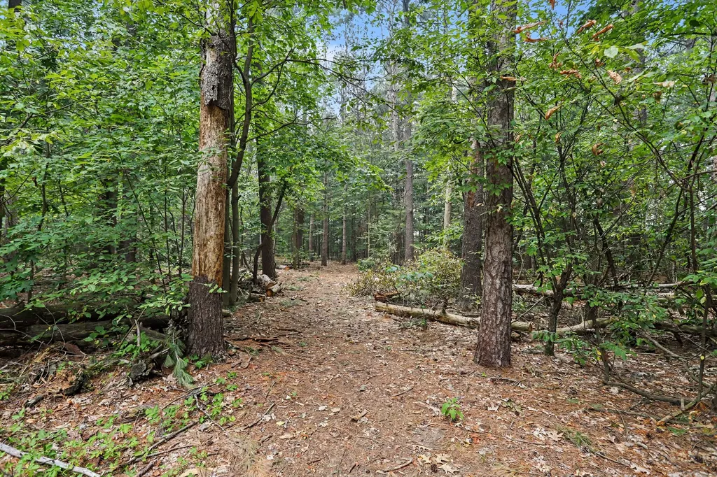 6690 Dennison Road Orangeville Township MI 49080
