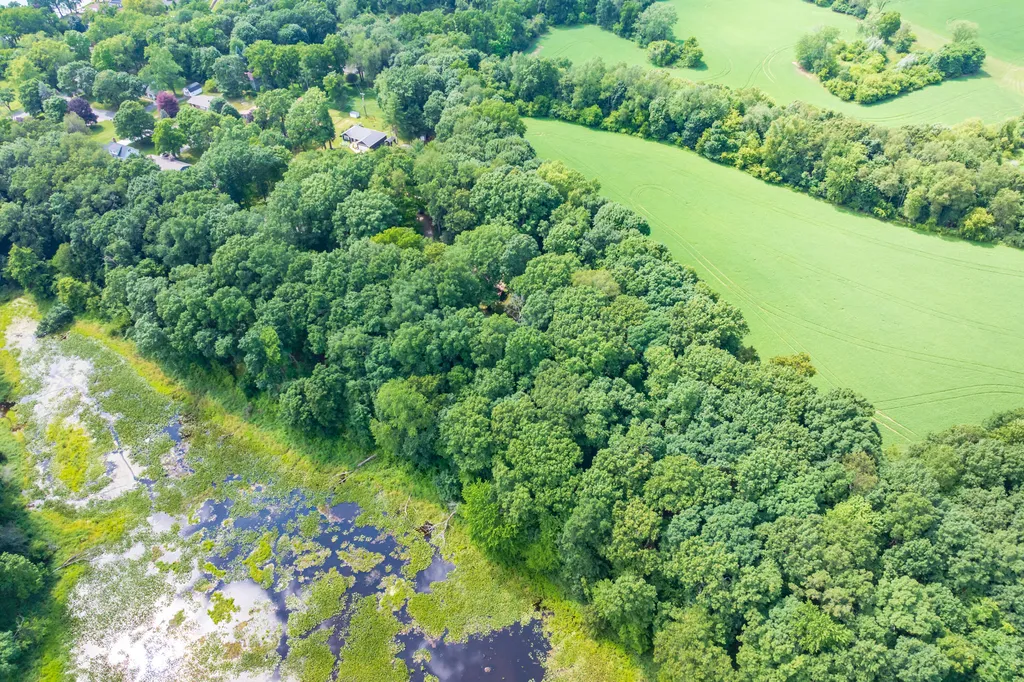 3818 Heights Drive Ross Township MI 49060
