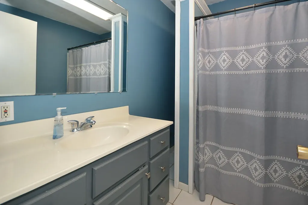 12867 Chapman Street Brady Township MI 49097