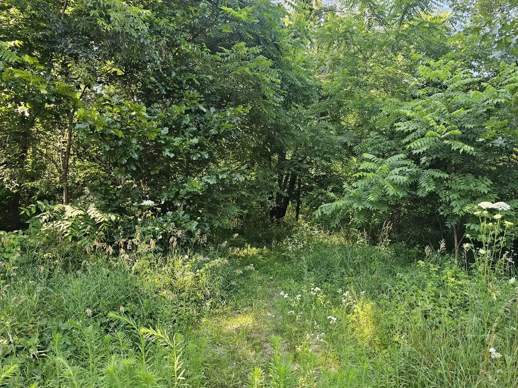 12671 Fort Custer Drive Charleston Township MI 49053