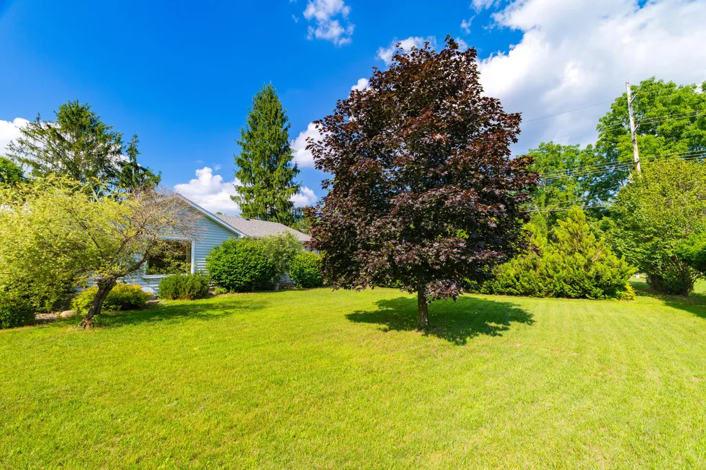 22035 Territorial Way Antwerp Township MI 49071