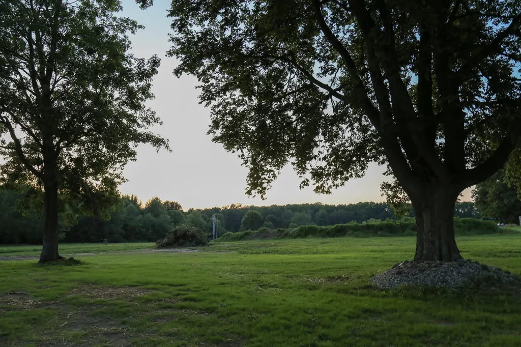 10797 E T Avenue Pavilion Township MI 49088