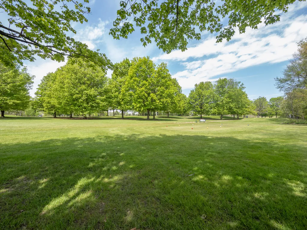15915 Indian Valley Street Prairie Ronde Township MI 49087