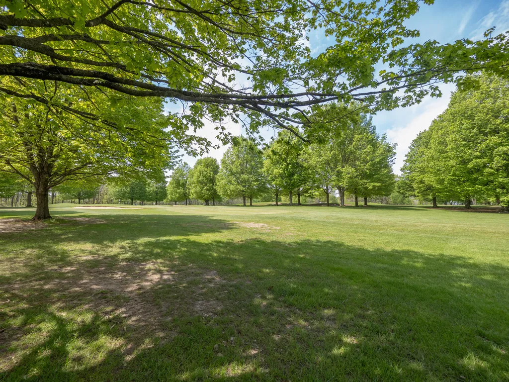 15915 Indian Valley Street Prairie Ronde Township MI 49087