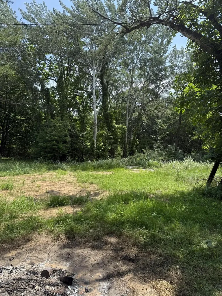 07115 51 1/2 Street Columbia Township MI 49056