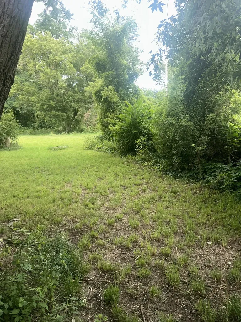 827 Golden Avenue Emmett Charter Township MI 49014
