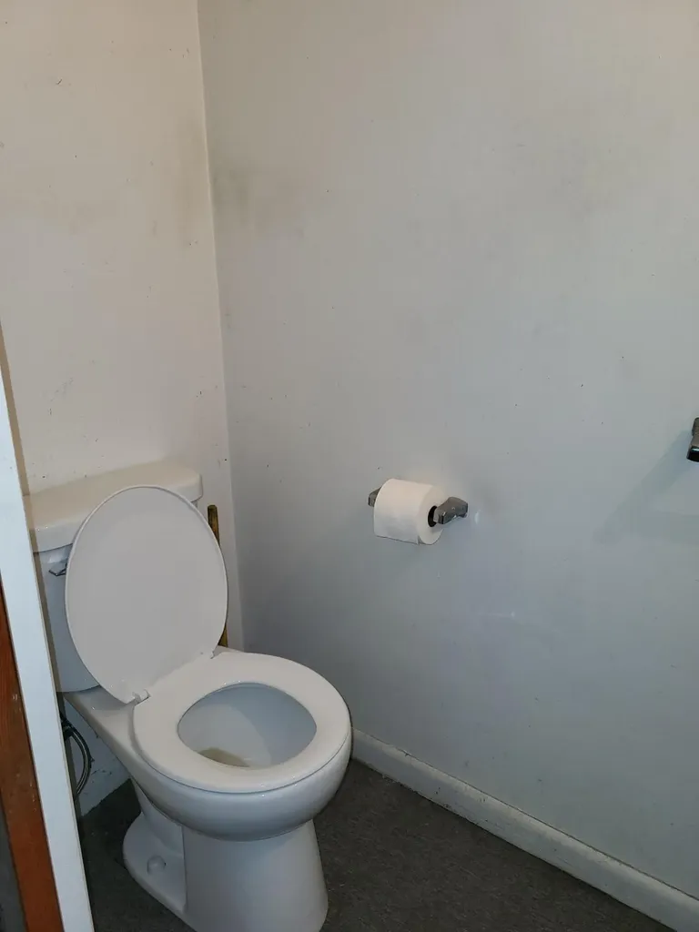 219 E Delaware Decatur Village MI 49045
