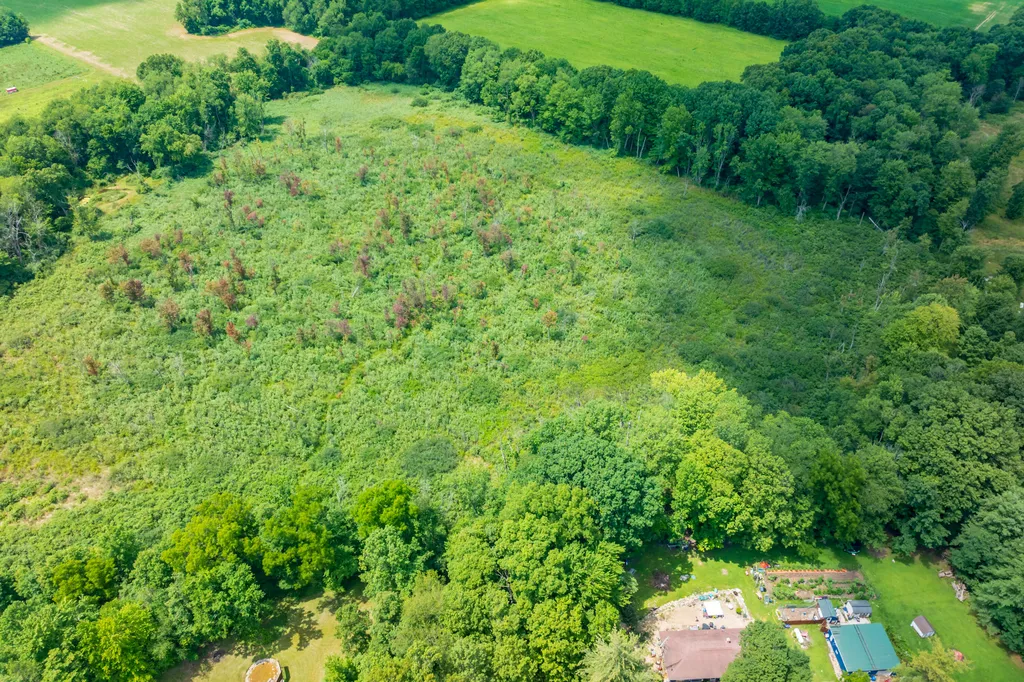 38988 Paw Paw Road Paw Paw Township MI 49079