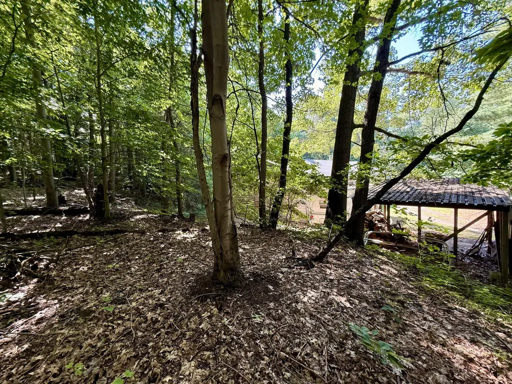 3851 21st Street Dorr Township MI 49323