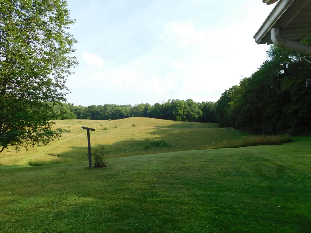 19278 Dutch Settlement Street Volinia Township MI 49031