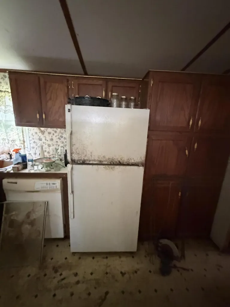 3547 Sechler Drive Leoni Township MI 49201
