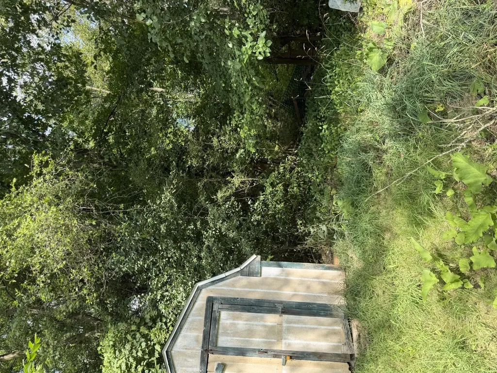 3547 Sechler Drive Leoni Township MI 49201
