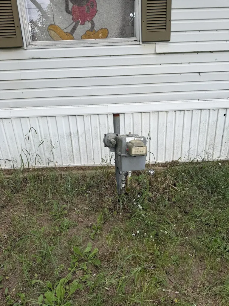 3547 Sechler Drive Leoni Township MI 49201