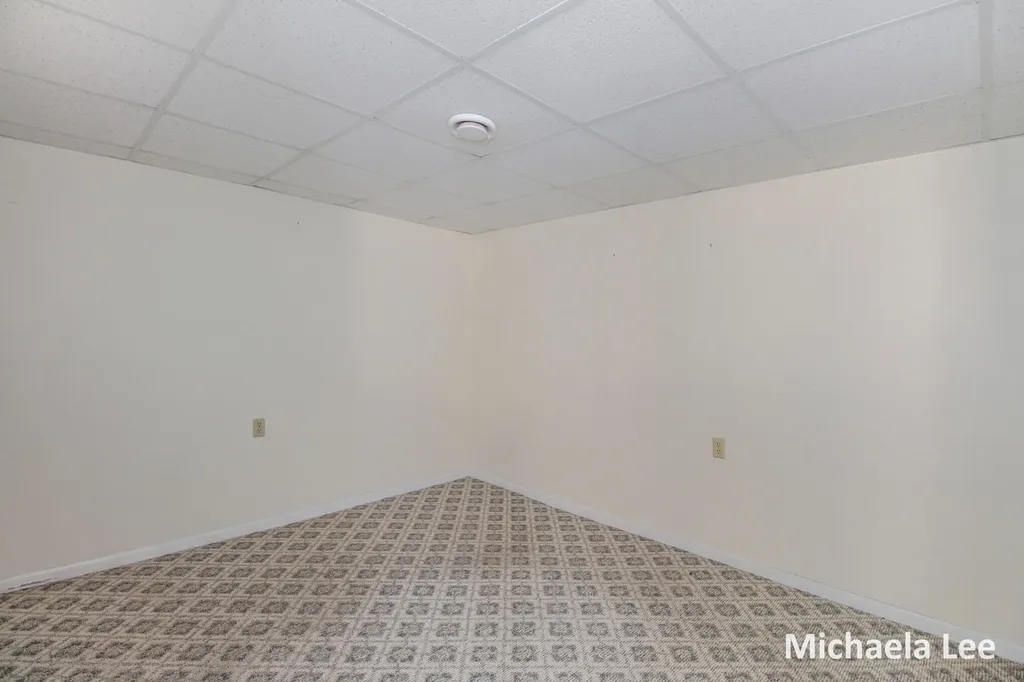 402 Thornton Street Middleville Village MI 49333