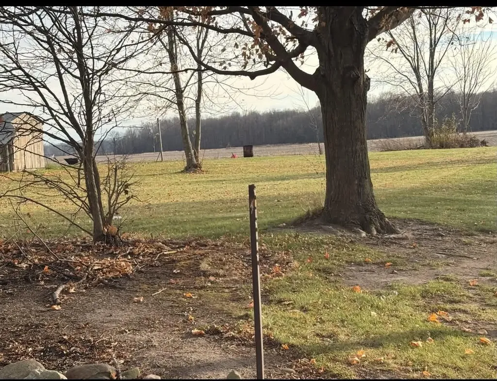 1518 E Tupper Lake Road Sebewa Township MI 48849