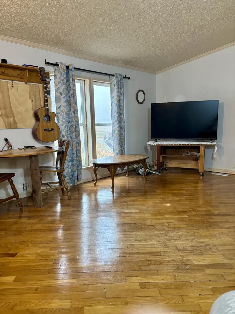 1518 E Tupper Lake Road Sebewa Township MI 48849