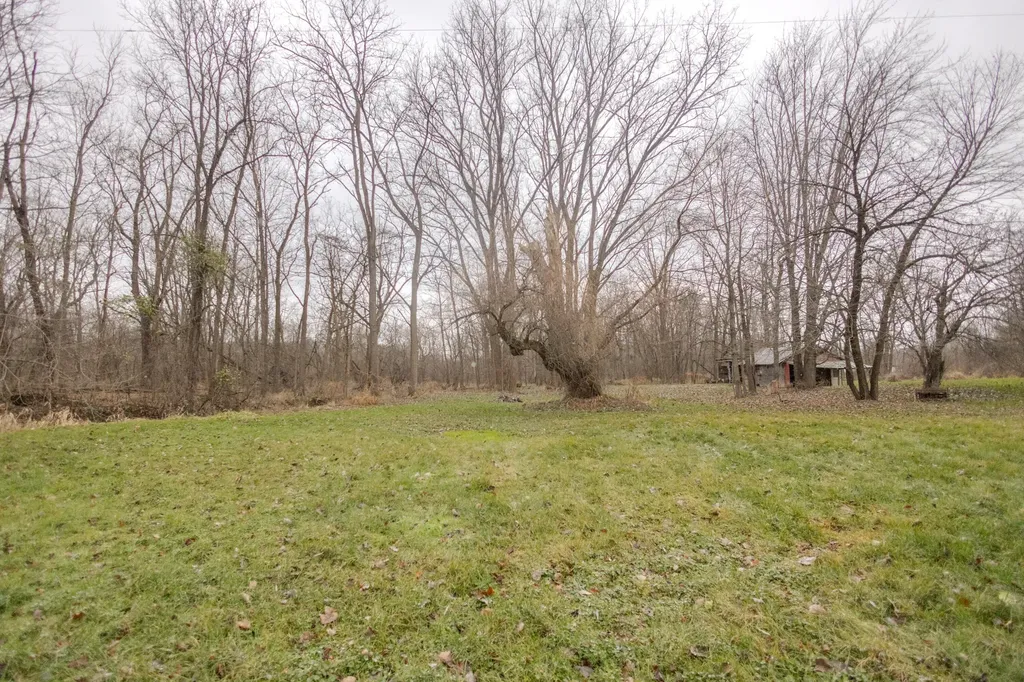 11102 S 34th Street Brady Township MI 49097