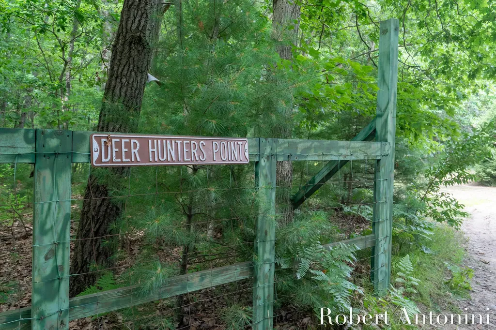 4751 S Johnson Road Montcalm Township MI 49326