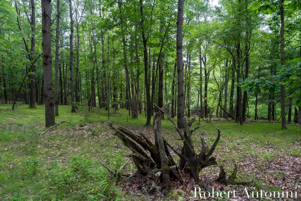 4751 S Johnson Road Montcalm Township MI 49326