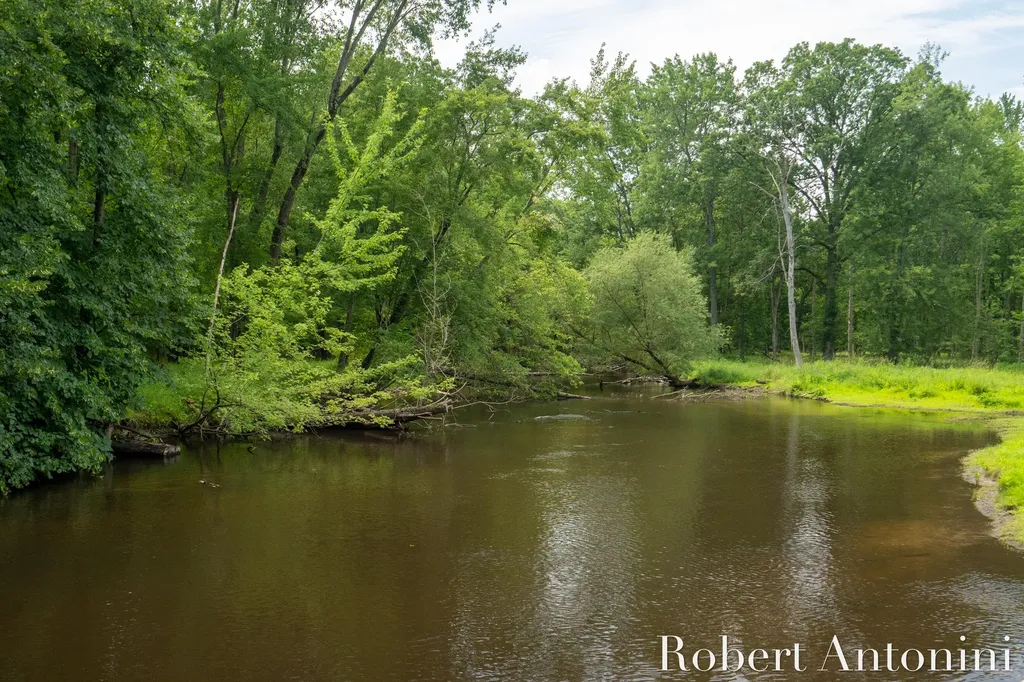 4751 S Johnson Road Montcalm Township MI 49326