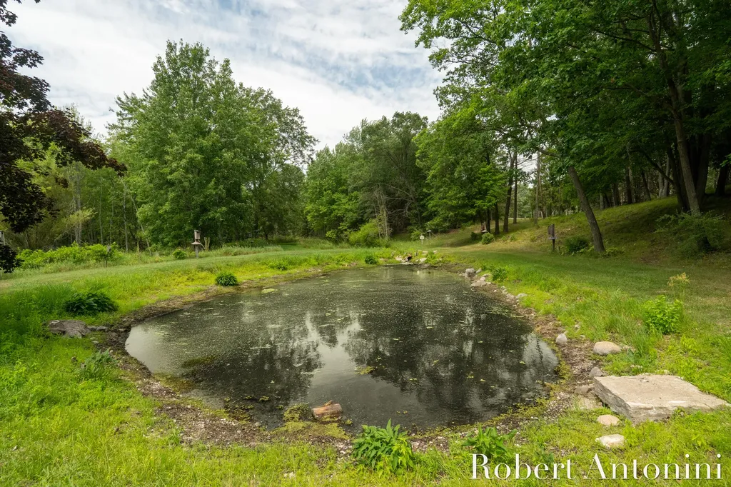 4751 S Johnson Road Montcalm Township MI 49326