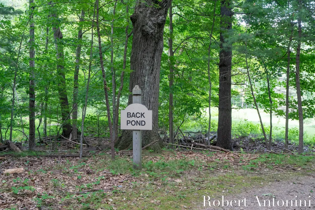 4751 S Johnson Road Montcalm Township MI 49326