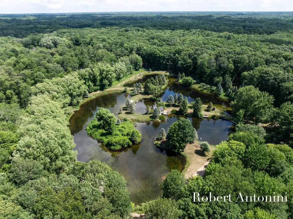 4751 S Johnson Road Montcalm Township MI 49326