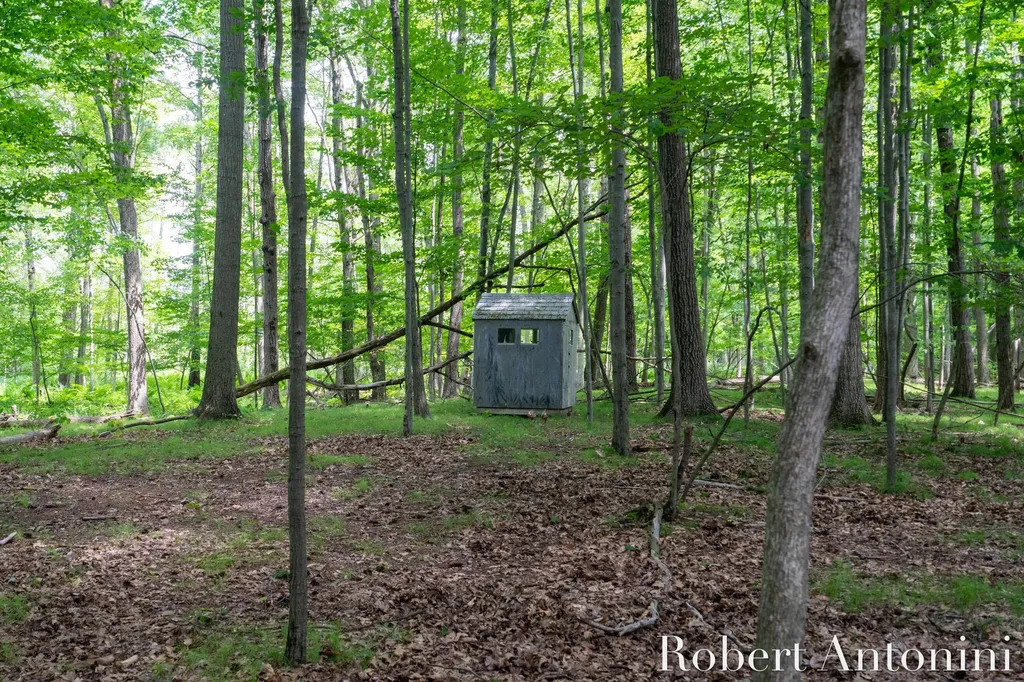 4751 S Johnson Road Montcalm Township MI 49326