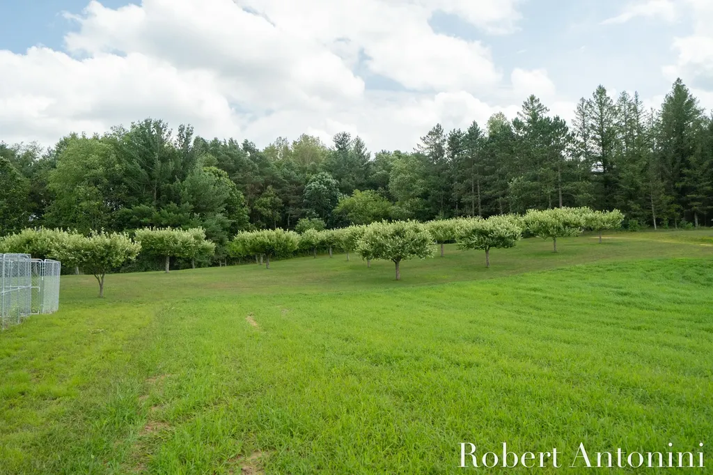 4751 S Johnson Road Montcalm Township MI 49326