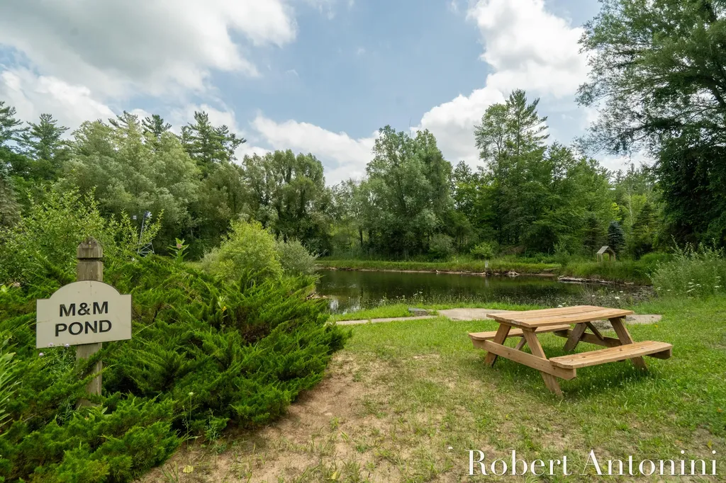 4751 S Johnson Road Montcalm Township MI 49326