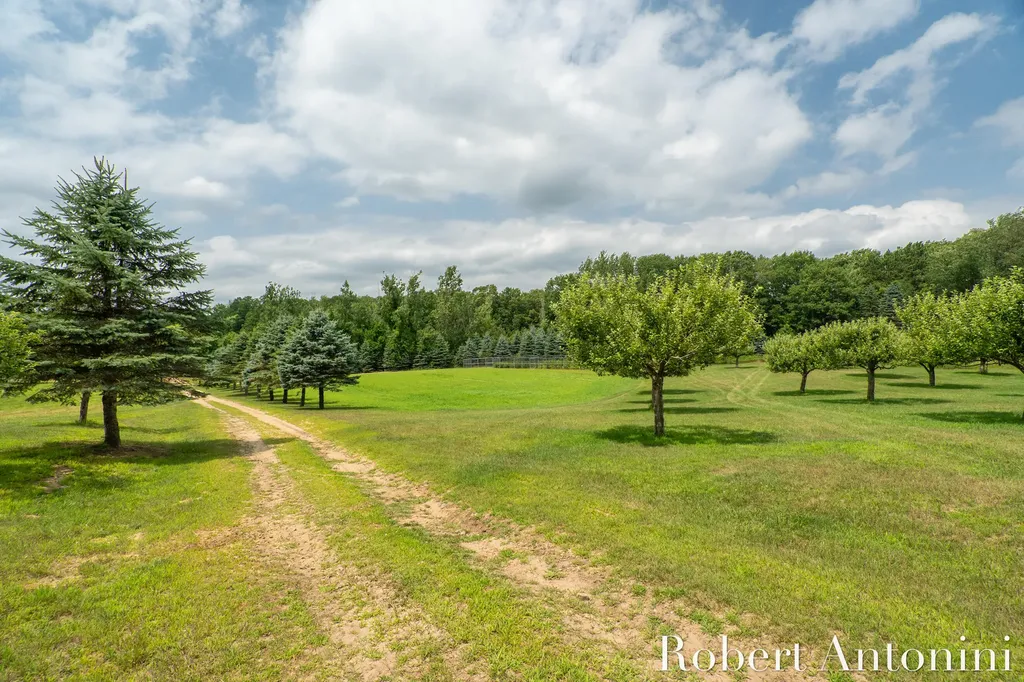 4751 S Johnson Road Montcalm Township MI 49326