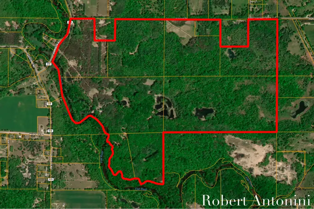 4751 S Johnson Road Montcalm Township MI 49326