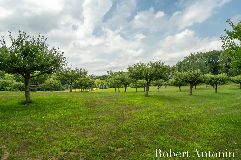 4751 S Johnson Road Montcalm Township MI 49326