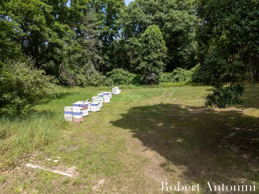 4751 S Johnson Road Montcalm Township MI 49326