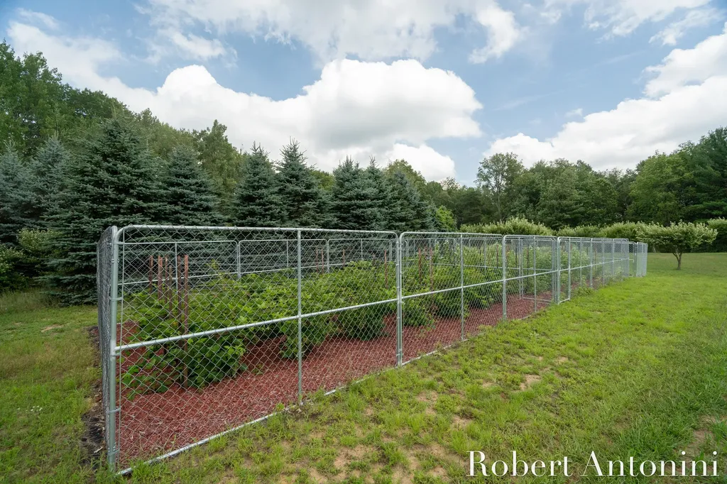 4751 S Johnson Road Montcalm Township MI 49326
