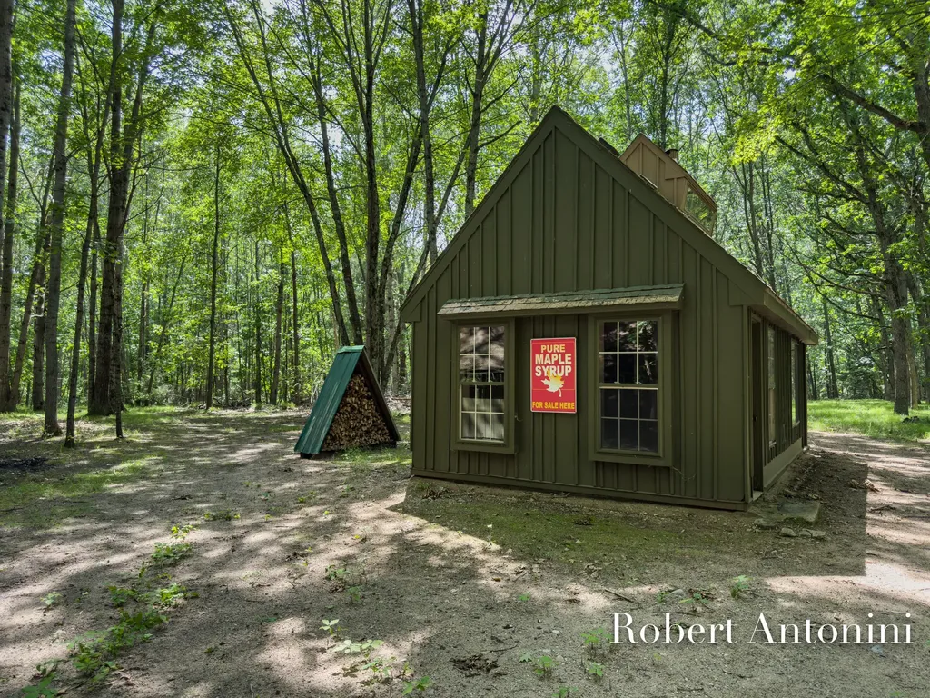 4751 S Johnson Road Montcalm Township MI 49326