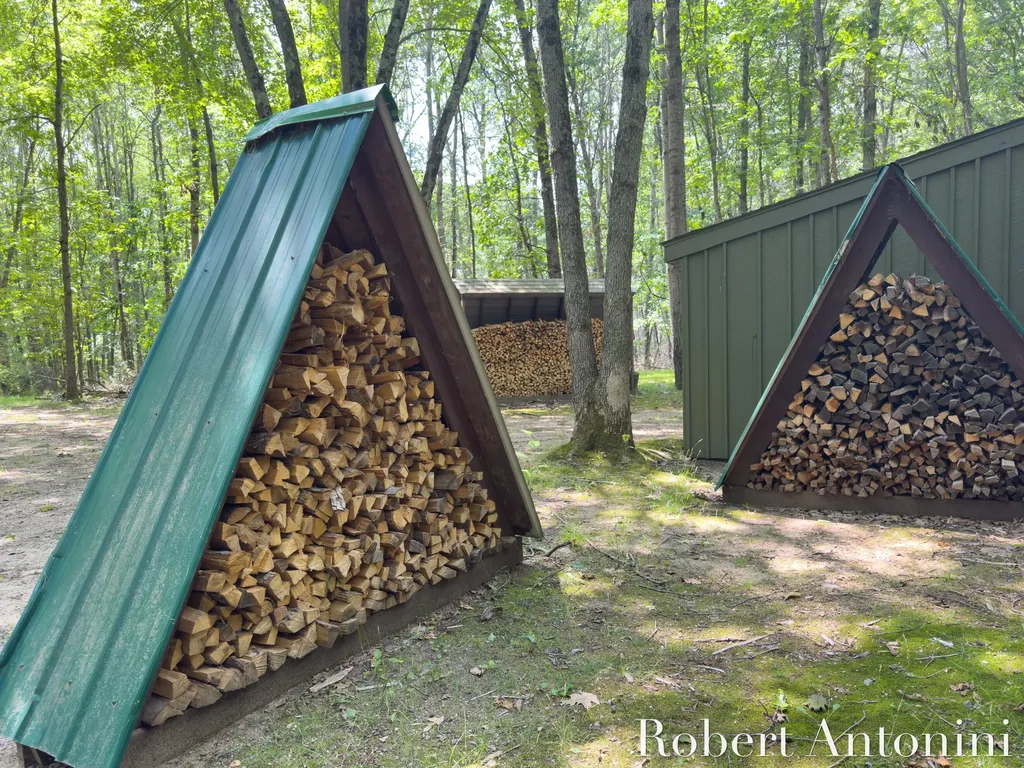 4751 S Johnson Road Montcalm Township MI 49326