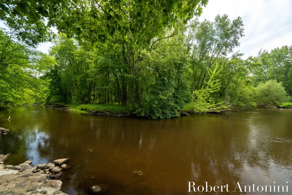 4751 S Johnson Road Montcalm Township MI 49326