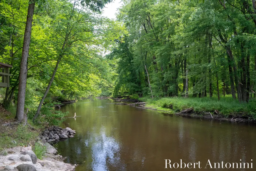 4751 S Johnson Road Montcalm Township MI 49326
