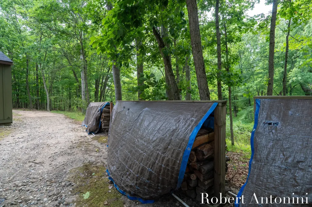 4751 S Johnson Road Montcalm Township MI 49326